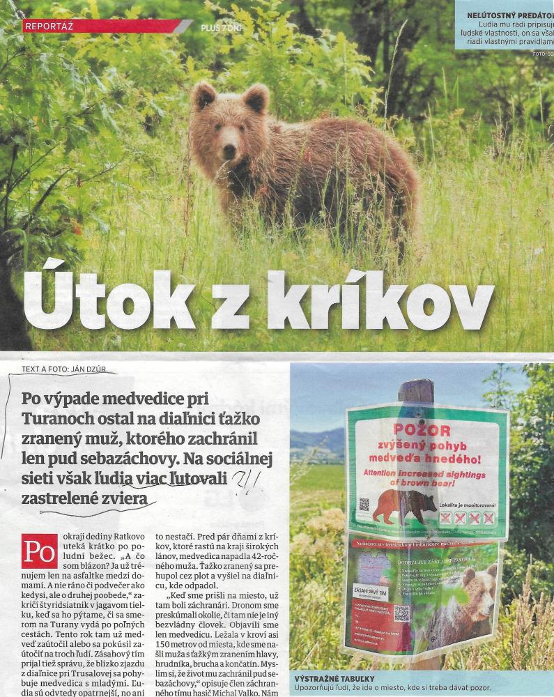 Nájdené v archíve